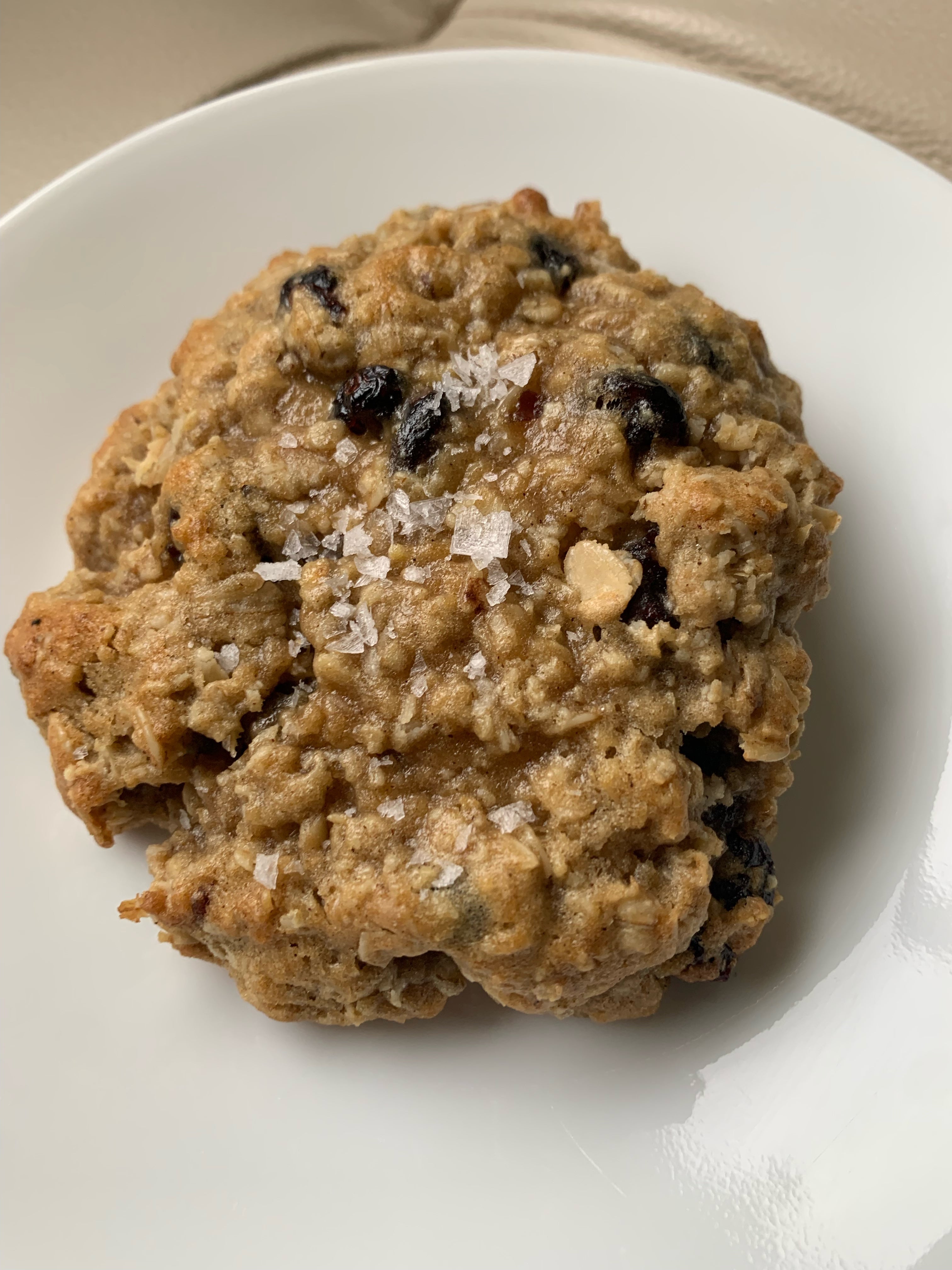 Jumbo Oatmeal Craisin