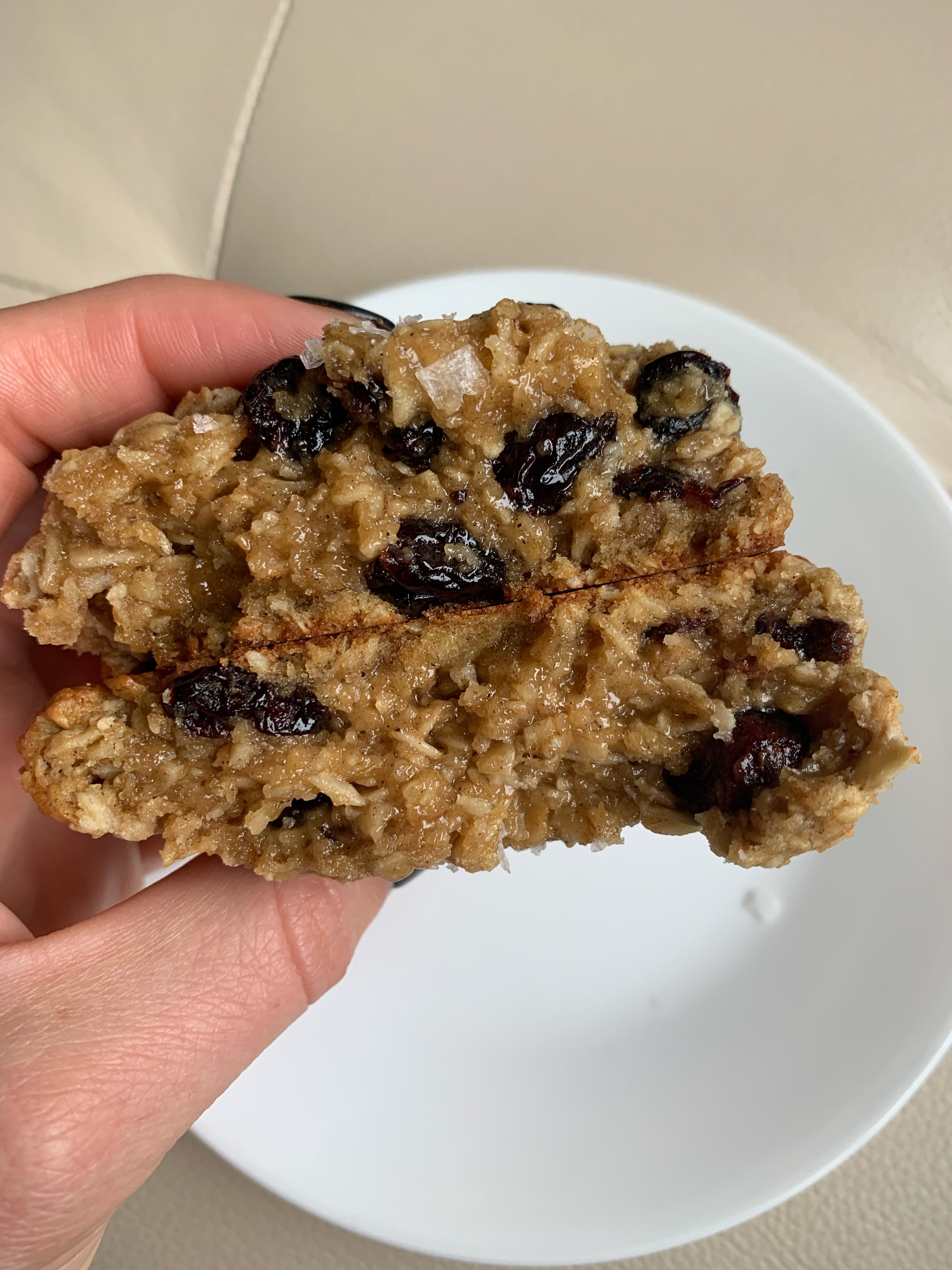 Jumbo Oatmeal Craisin