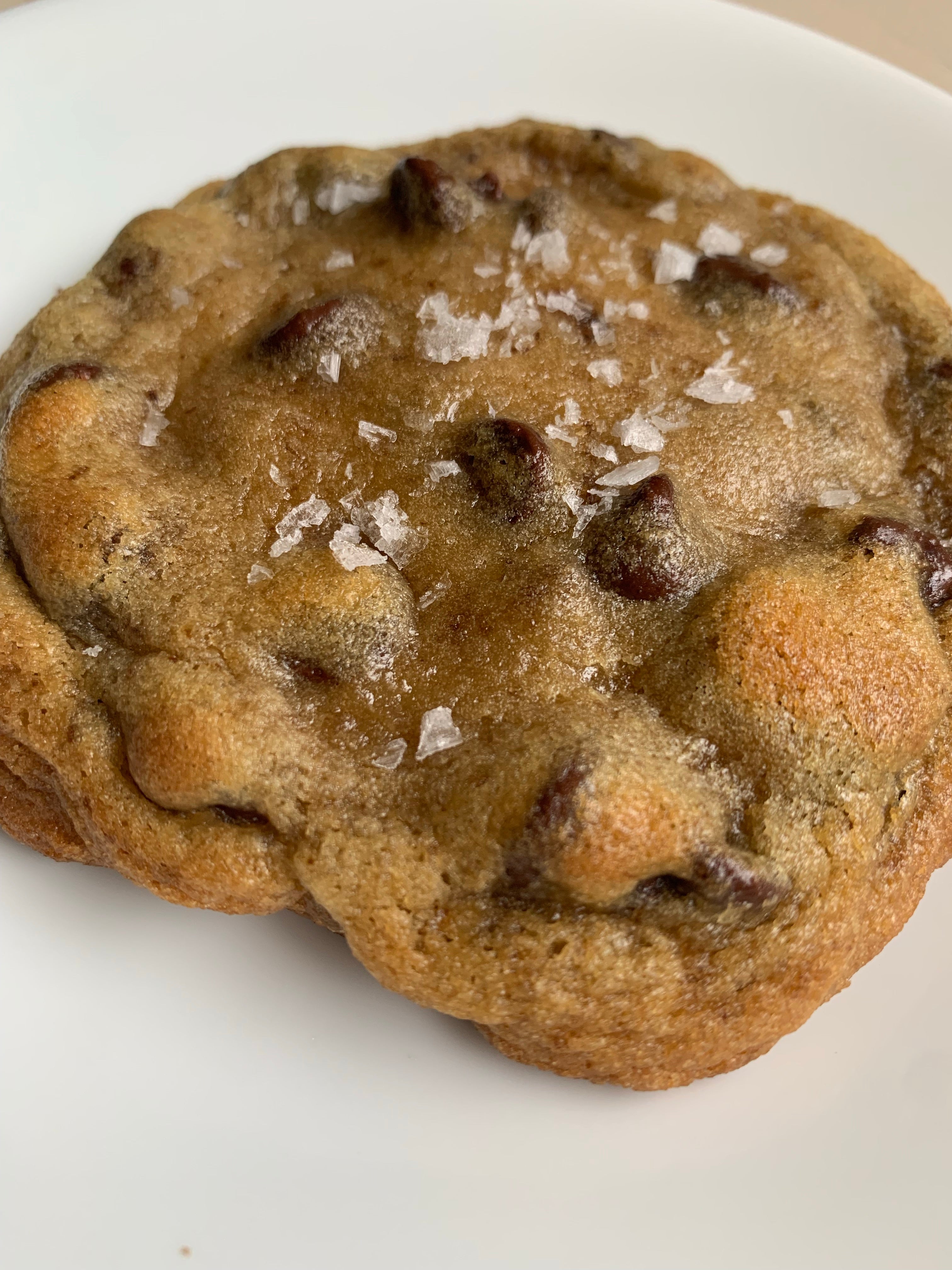 Jumbo Chocolate Chip Cookie